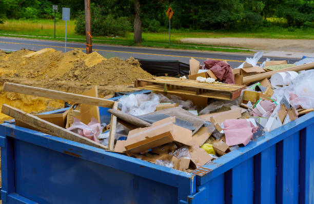 Best Shed Removal  in Ray City, GA